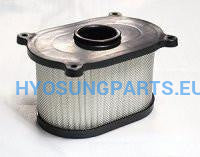 Hyosung Air Filter Gt125 Gt125R Gt250 Gt250R Gt650 Gt650R Gt650S Gv650 - Free Shipping Hyosung Parts Eu