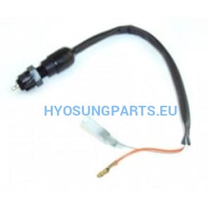 Hyosung Brake Switch Rear Gt250 Gt250R Gt650 Gt650R Gv250 Gv650 - Free Shipping Hyosung Parts Eu