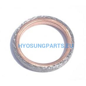 Hyosung Exhaust Pipe Header Gasket Gt125 Gt125R Gt250 Gt250R Rx125Sm Rt125D Gd250N Ms3-125 Ms3-250 Gv125 Gv250 - Free Shipping Hyosung Parts