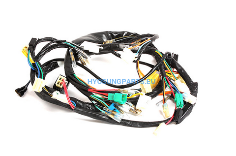 Hyosung Wiring Harness Gt125 Gt250 - Free Shipping Hyosung Parts Eu