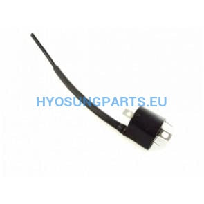 Hyosung Aquila Coil Front And Rear Efi Gt650 Gt650R Gv650 - Free Shipping Hyosung Parts Eu