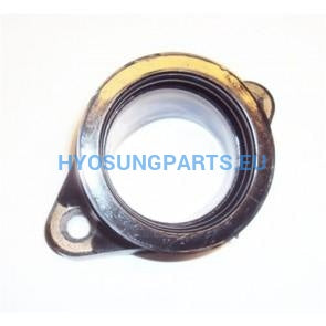 Hyosung Aquila Inlet Manifold Front Pipe Carby Gt650 Gt650R Gv650 - Free Shipping Hyosung Parts Eu