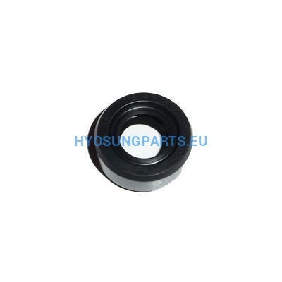 Hyosung Engine Gear Shift Shaft Oil Seal Hyosung Gt125 Gt250 Gv250 Rx125 Rt125 Gt125R Gt250 Gt250R Rx125 Rx125Sm Rt125 Rt125D Gv125 Gv250 -