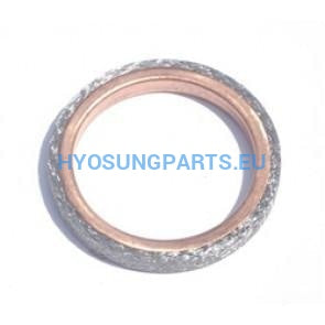 Hyosung Exhaust Pipe Header Gasket Gt125 Gt125R Gt250 Gt250R Rx125Sm Rt125D Gd250N Ms3-125 Ms3-250 Gv125 Gv250 - Free Shipping Hyosung Parts