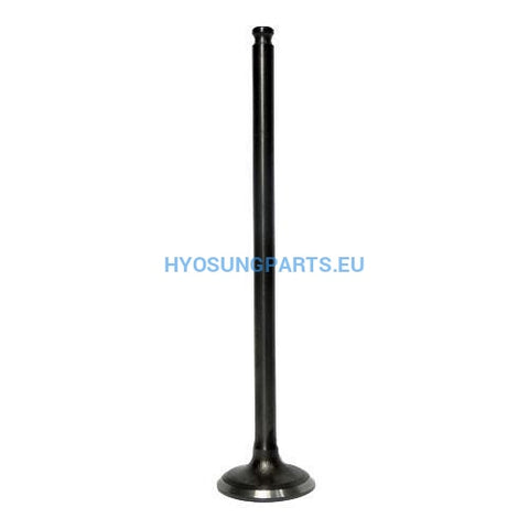 Hyosung Exhaust Valve Gt125 Gt125R Gv125 - Free Shipping Hyosung Parts Eu