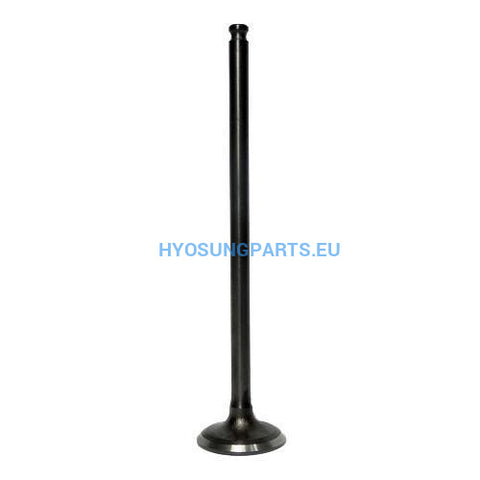Hyosung Exhaust Valve Gt125 Gt125R Gv125 - Free Shipping Hyosung Parts Eu