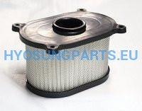 Hyosung Air Filter Efi Gt250 Gt250R - Free Shipping Hyosung Parts Eu