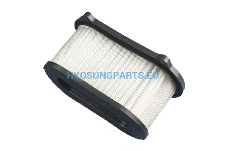 Hyosung Air Filter Gd250N - Free Shipping Hyosung Parts Eu