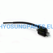 Hyosung Aquila Coil Front Rear Efi Gt250 Gt250R Gv250 - Free Shipping Hyosung Parts Eu