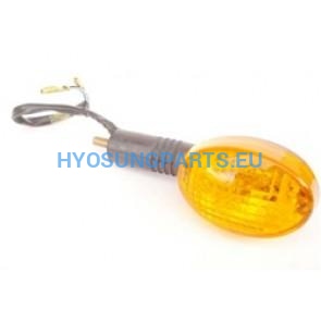 Hyosung Blinker Indicator Left Front Amber Gt125 Gt125R Gt250 Gt250R Gt650 Gt650R - Free Shipping Hyosung Parts Eu