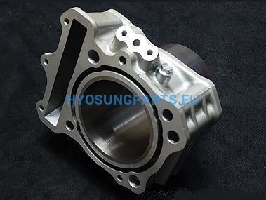 Hyosung Cylinder Rear Hyosung Black Gt650 Gt650R Gv650 - Free Shipping Hyosung Parts Eu