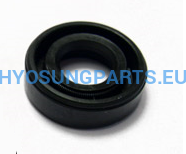Hyosung Engine Oil Seal Clutch Release Camshaft Hyosung Gt125 Gt125R Gt250 Gt250R Gv125 Gv250 Rx125 - Free Shipping Hyosung Parts Eu