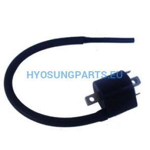 Hyosung Front Ignition Coil Carb Gt650 Gt650R Gv650 - Free Shipping Hyosung Parts Eu