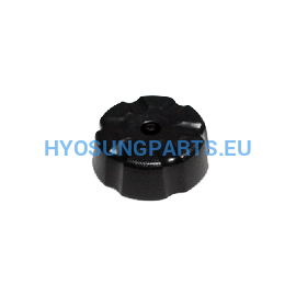 Hyosung Fuel Tank Filter Cap Rx125 Rx125Sm Rt125 Rt125D - Free Shipping Hyosung Parts Eu