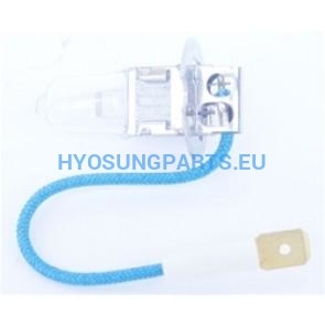 Hyosung Headlight Globe Gt125R Gt250R Gt650R - Free Shipping Hyosung Parts Eu