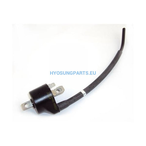 Hyosung Ignition Coil Gt125 Gt250 Gv125 Gv250 - Free Shipping Hyosung Parts Eu