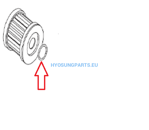 Hyosung Oil Filter Oring Inner Gt650 Gt650R Gv650 - Free Shipping Hyosung Parts Eu