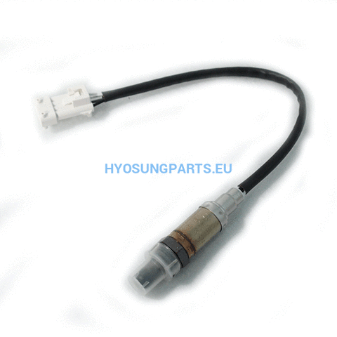 Hyosung Oxygen Sensor Hyosung Ms3 250 - Free Shipping Hyosung Parts Eu
