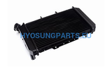 Hyosung Radiator Cooler Aluminum Gt650 Gt650R Gt650S - Free Shipping Hyosung Parts Eu