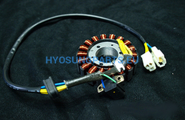 Hyosung Stator Hyosung Efi Gt250 Gt250R - Free Shipping Hyosung Parts Eu